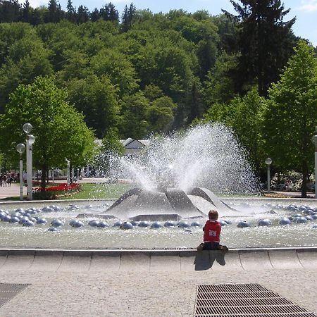 Topapartmany Lesni Mariánské Lázně Esterno foto